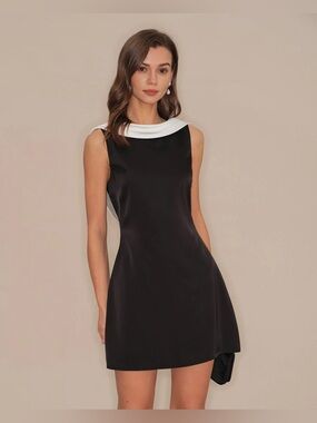 Black Cowl Neck Backless Mini Dress